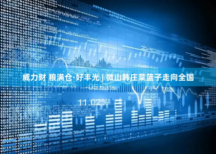 威力财 粮满仓·好丰光 | 微山韩庄菜篮子走向全国