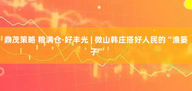 鼎茂策略 粮满仓·好丰光 | 微山韩庄搭好人民的“渔篓子”
