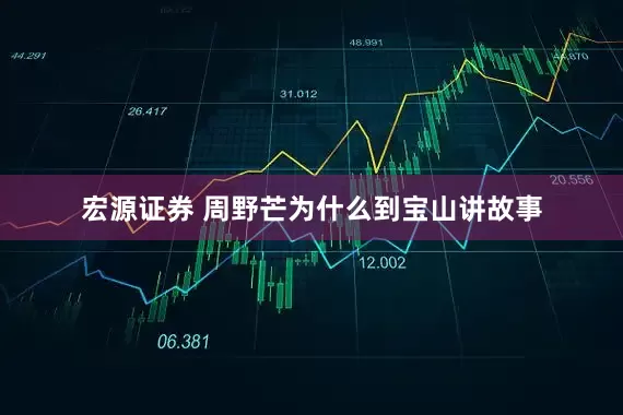 宏源证券 周野芒为什么到宝山讲故事