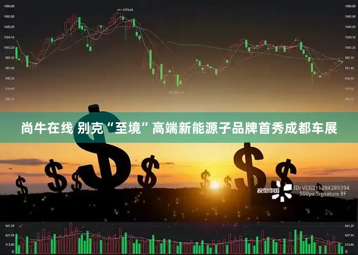 尚牛在线 别克“至境”高端新能源子品牌首秀成都车展